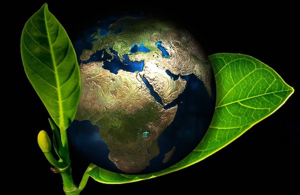 Ways To Live a More Environmentally Friendly Lifestyle