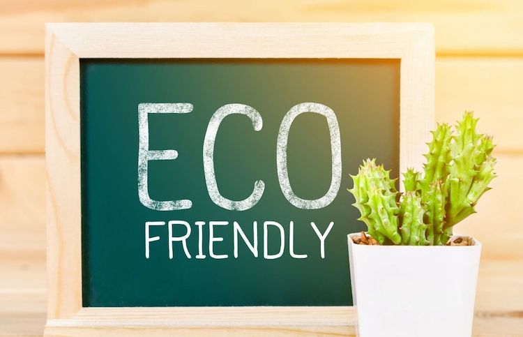 Make Your Home More Eco-friendly